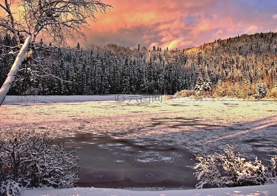 冬天风景,颜色,结冰的湖