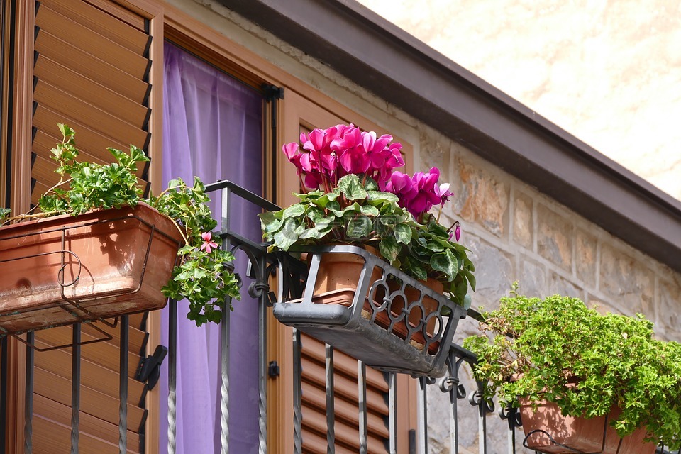 阳台,鲜花,花箱