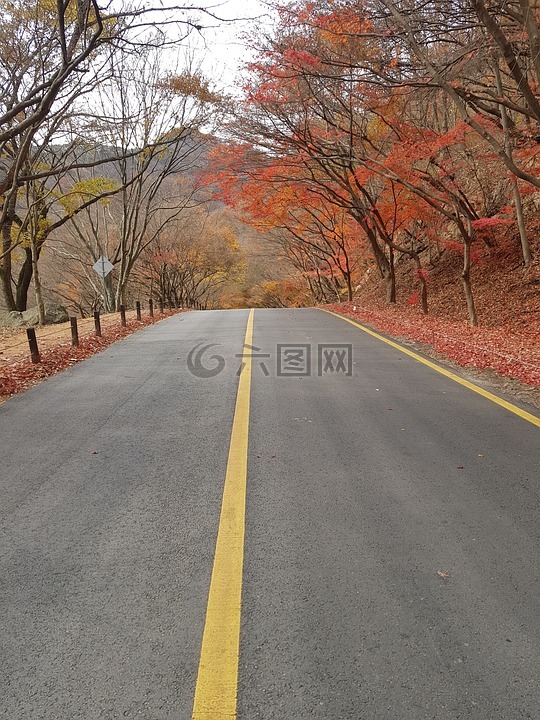 三清山,秋天的树叶,秋季