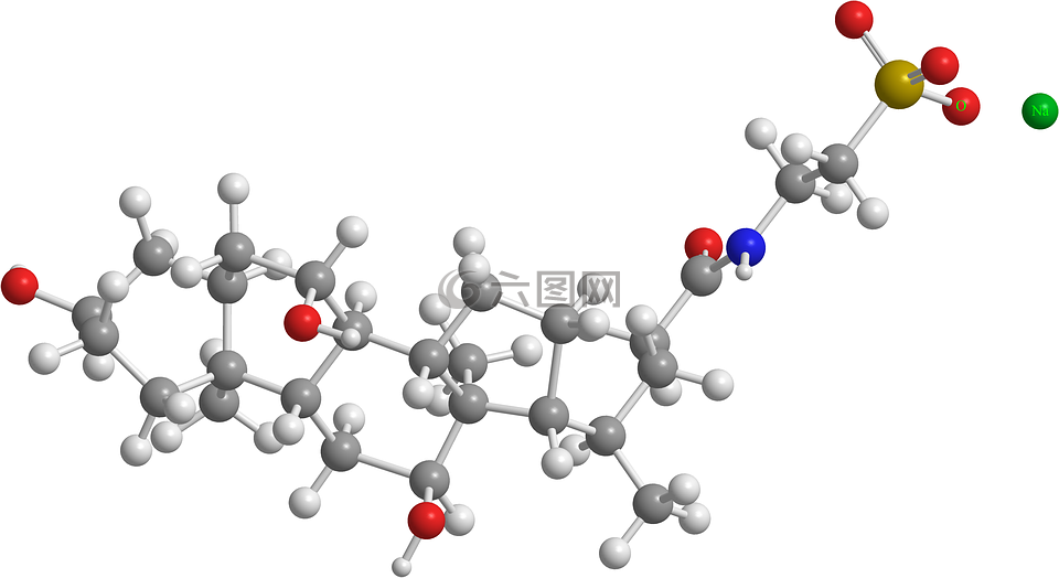 牛磺钠,有机化学,分子