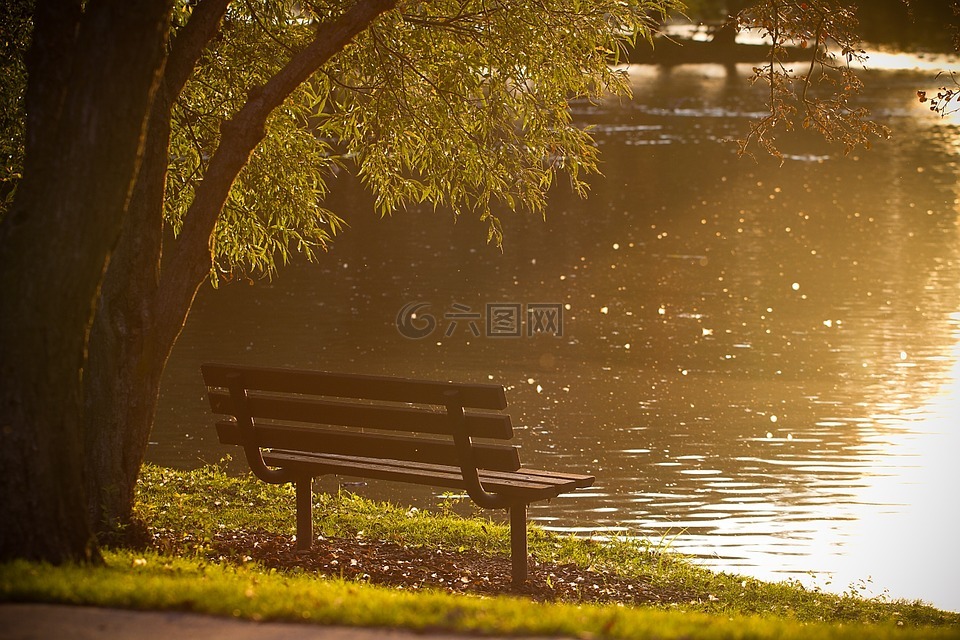 长凳,公园,池