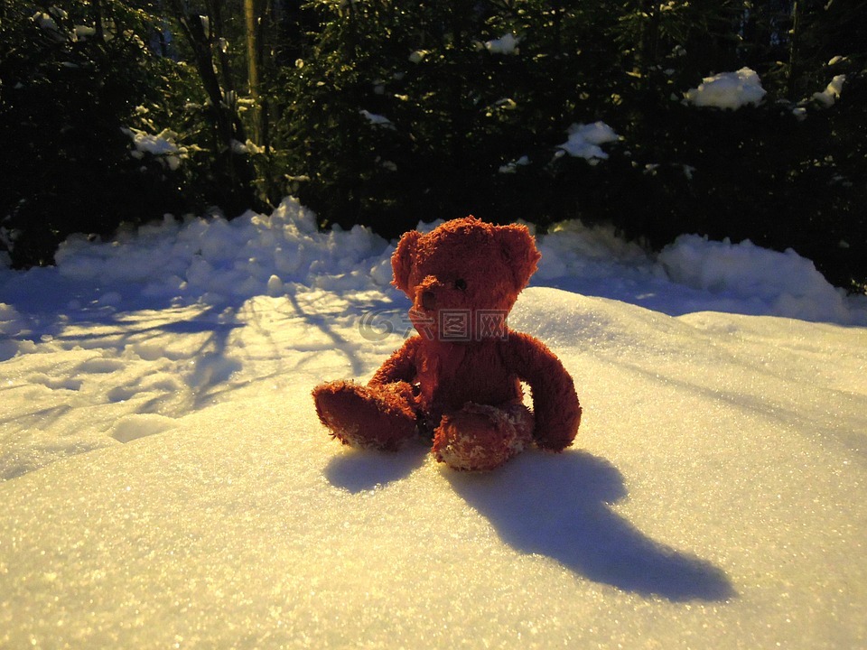 玩具熊,红,雪