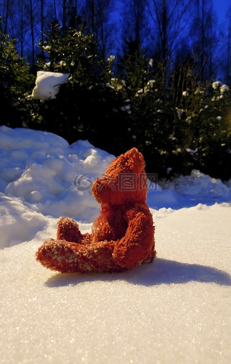 玩具熊,红,雪