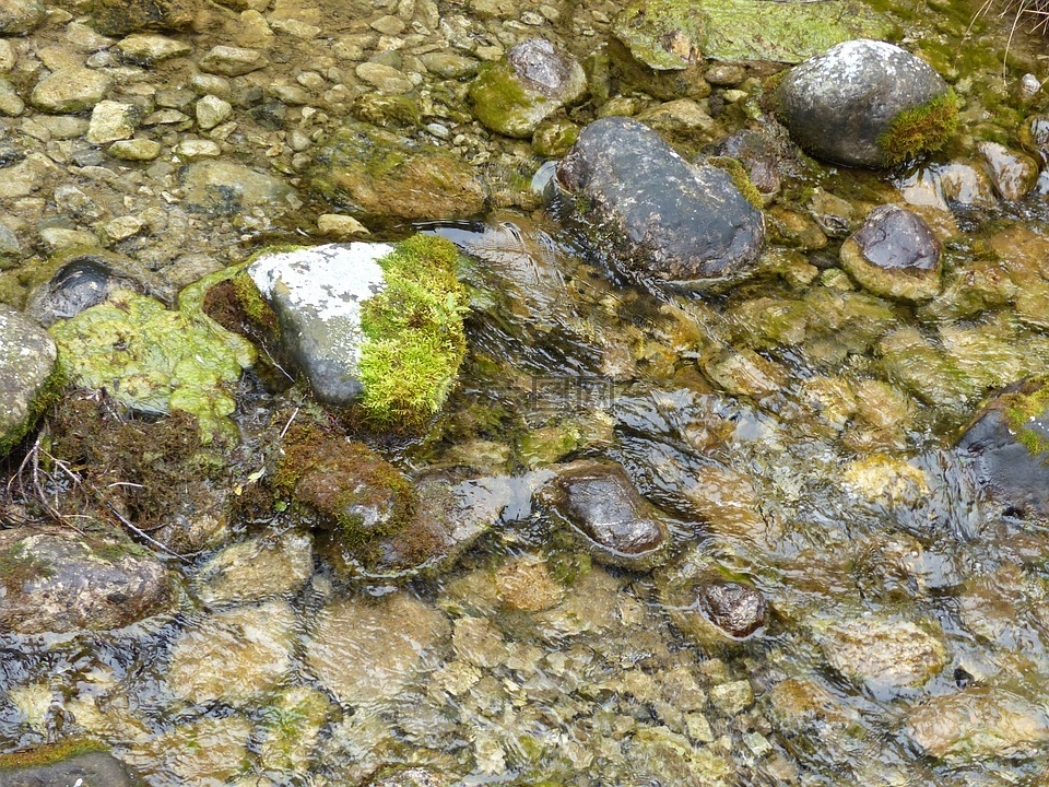天然水,过独身生活,石头