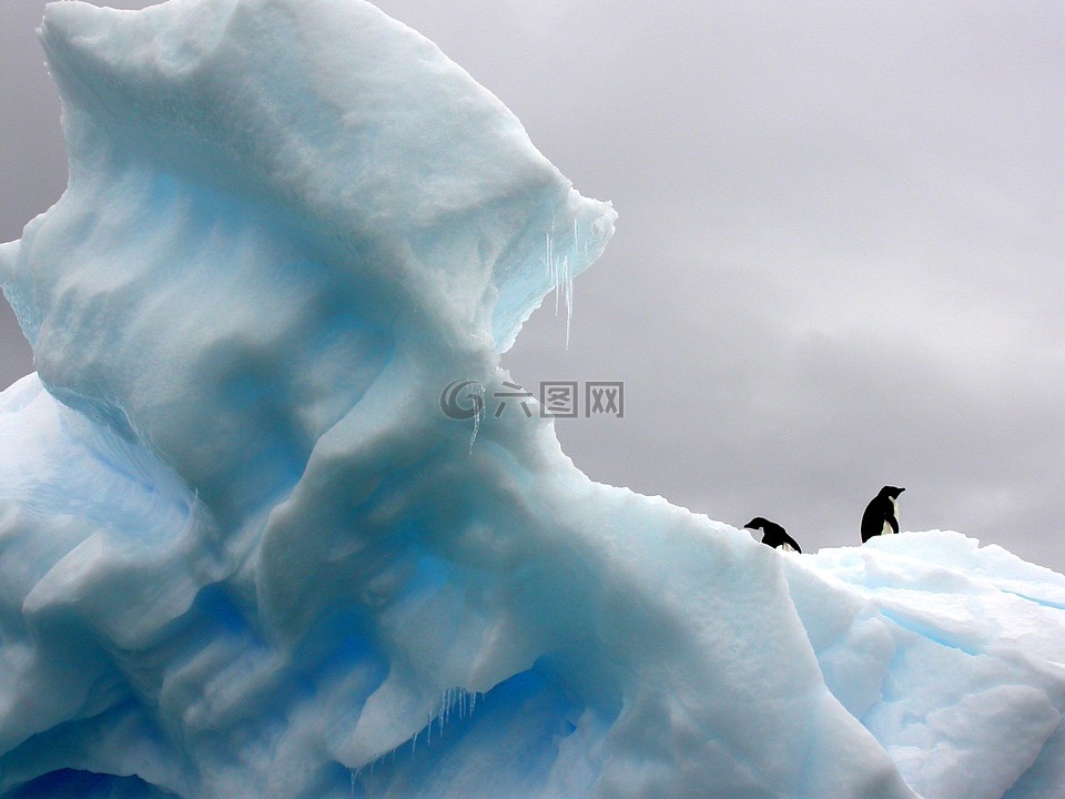 企鹅,冰山一角,极性