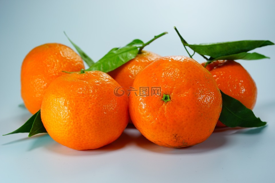橘子,柑橘,柑橘类水果