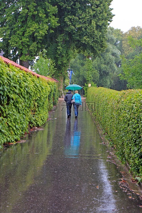 步行,雨,雨下得