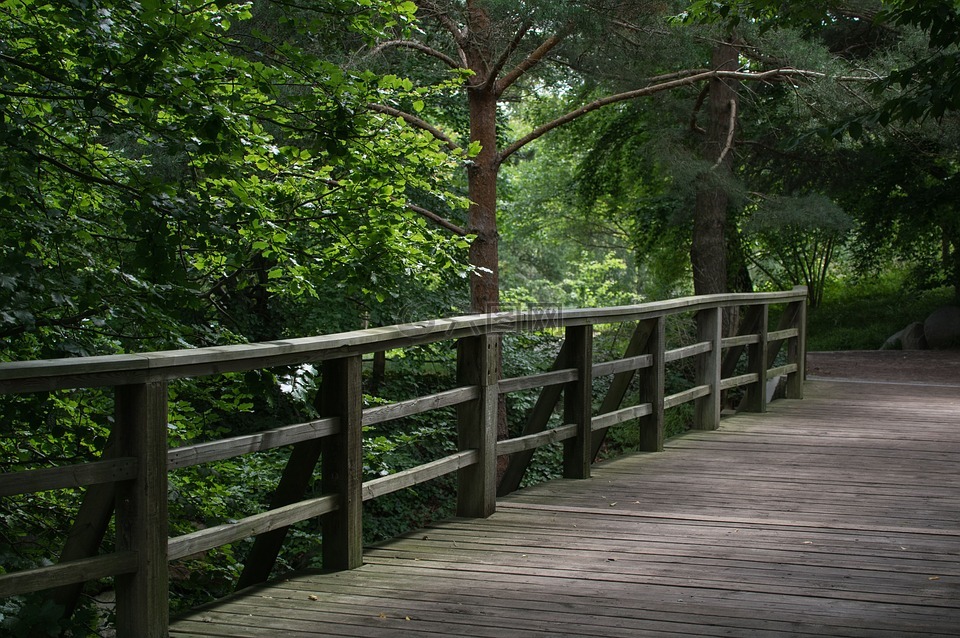 桥,桥边的栏杆,木