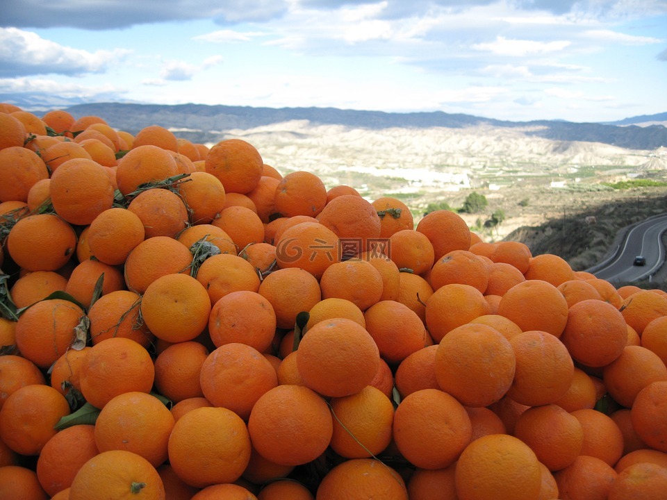 橙色,西班牙,阳光灿烂