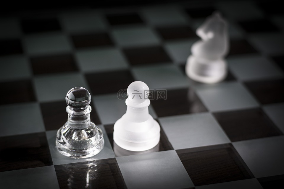 国际象棋,方案,将死