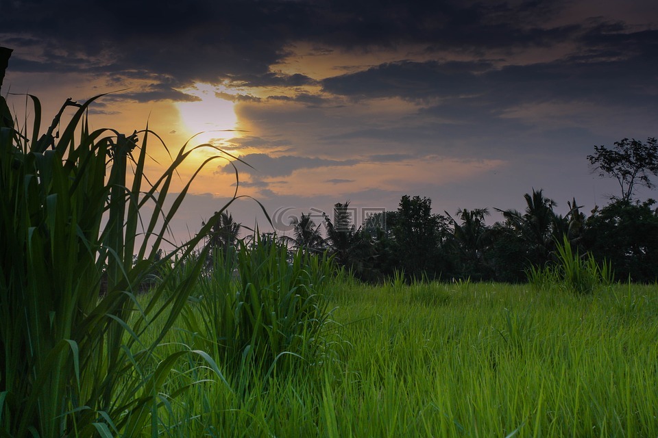 印尼,巴厘岛,日落