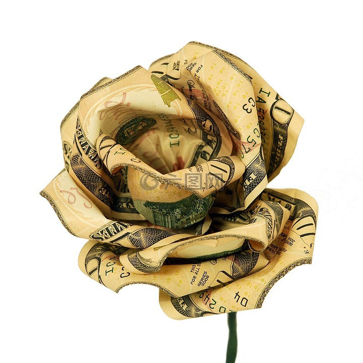 钱,花,玫瑰