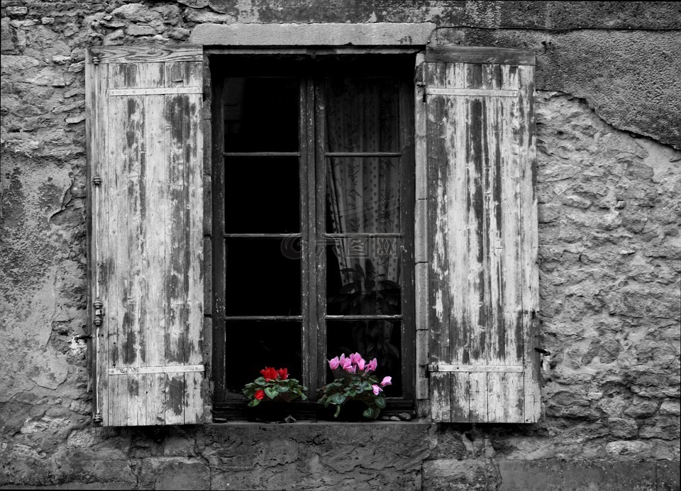 窗口,花,花箱