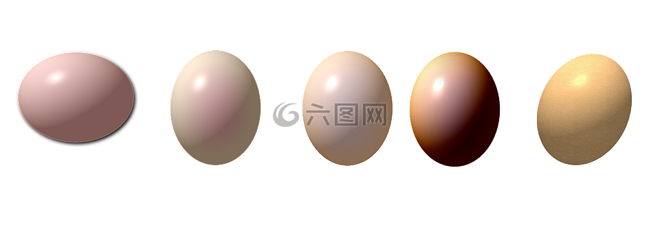 鸡蛋,绘图,鸡蛋的画
