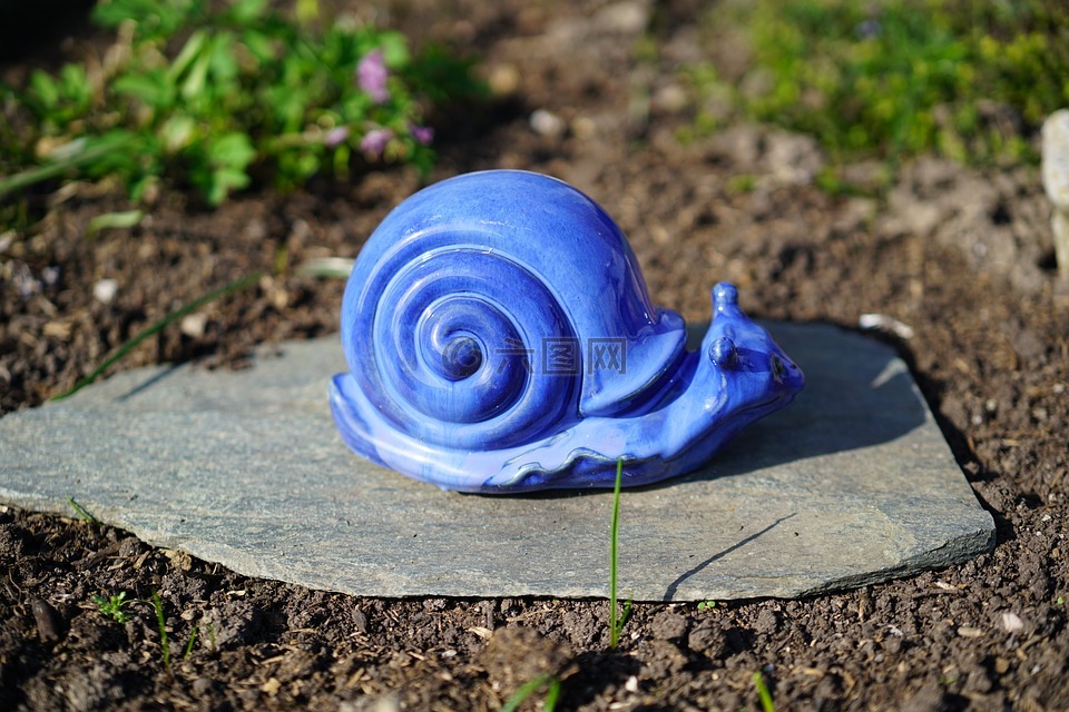 蜗牛,蓝色,装饰钉
