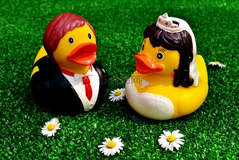 橡胶鸭子,婚礼,新娘和新郎