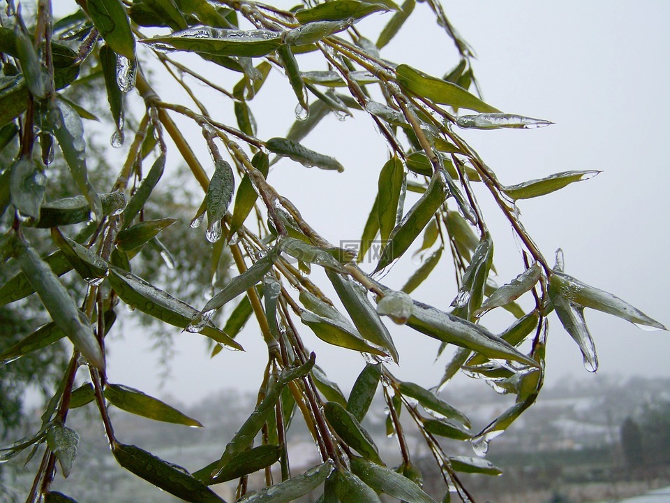 雨夹雪,冻雨,冬季