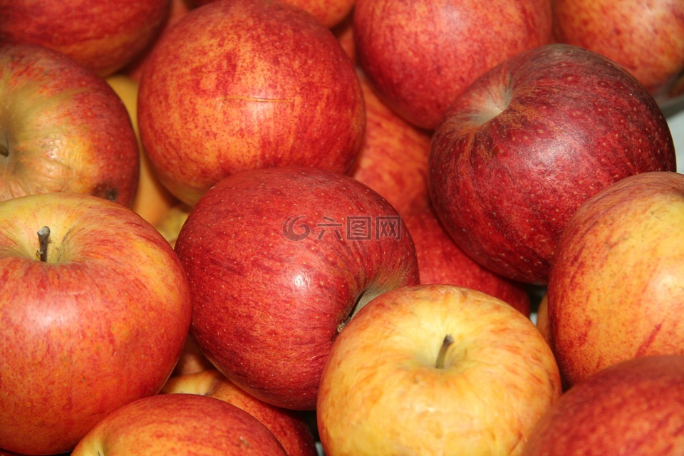 苹果公司,水果,水果成熟的季节