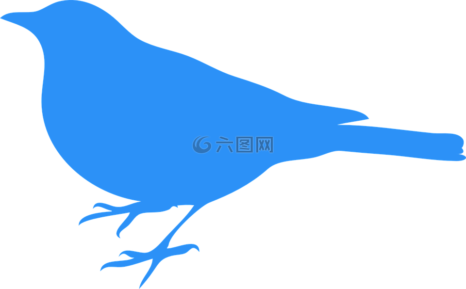 蓝鸟,鸟,动物
