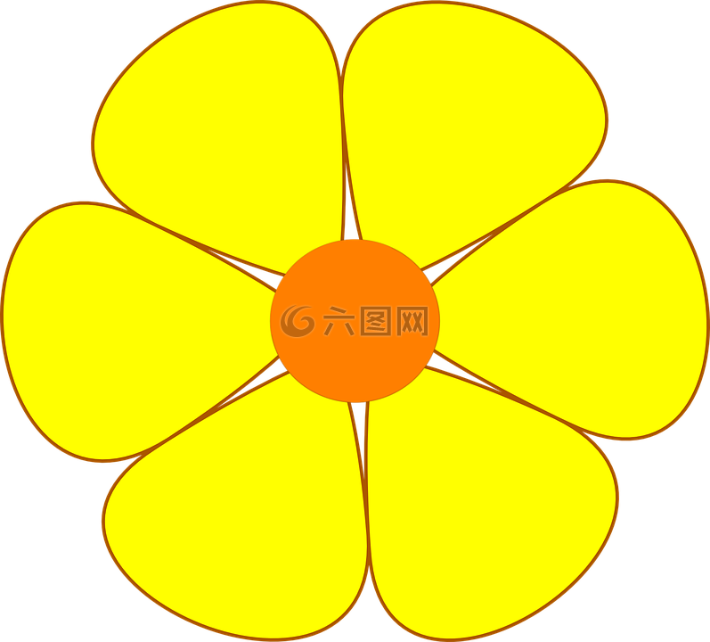 雏菊,黄色,花