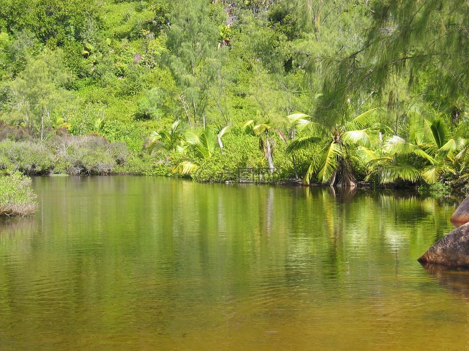 绿色,湖,水域