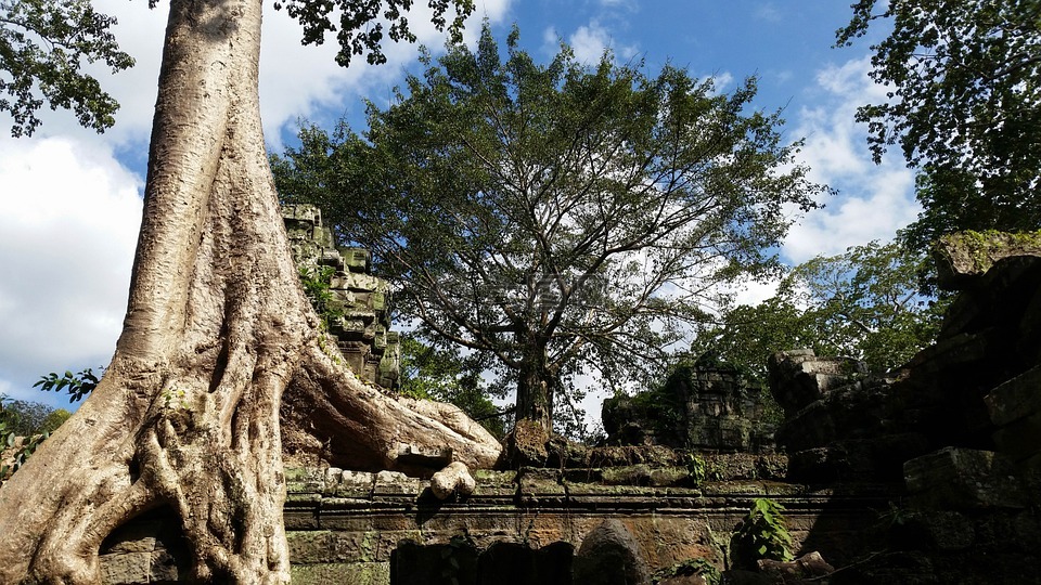 柬埔寨,吴哥,庙