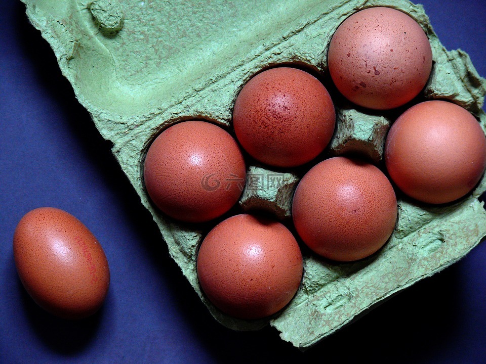 蛋,鸡蛋盒,鸡鸡蛋