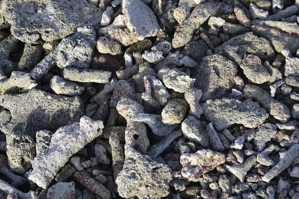 石头,海滩,灰色