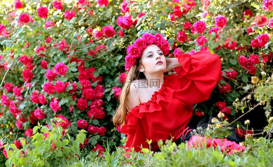 女孩,玫瑰,红色