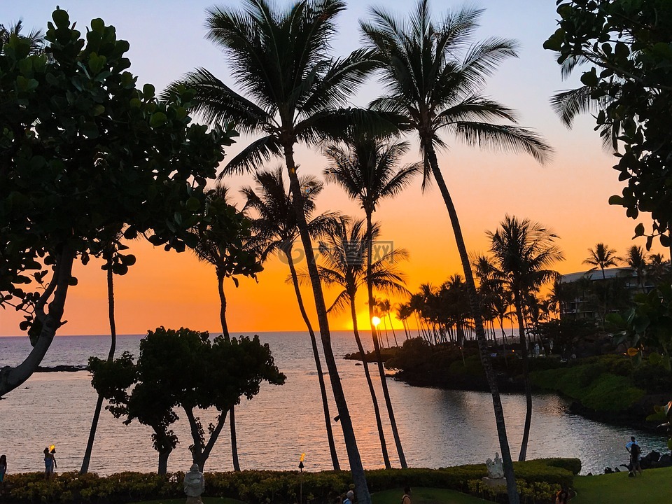 日落,夏威夷,热带