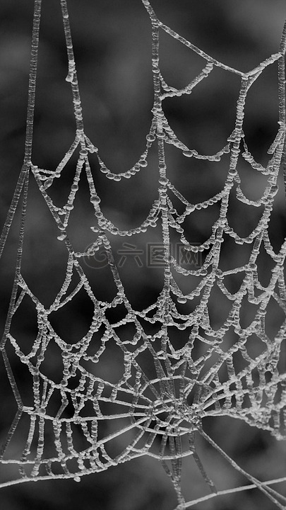蜘蛛网,数值调节钮,蛛网
