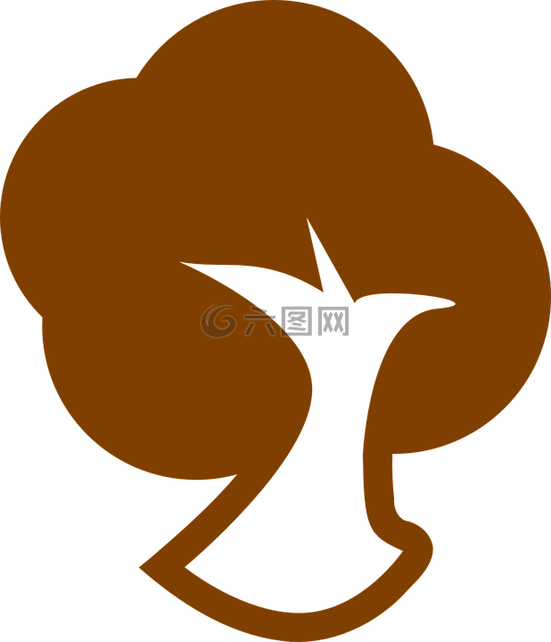 树,棕色,生态