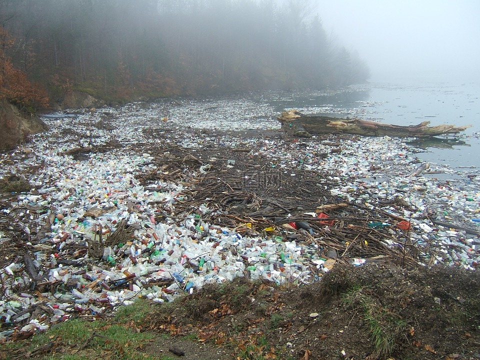 污染,德里纳,废塑料