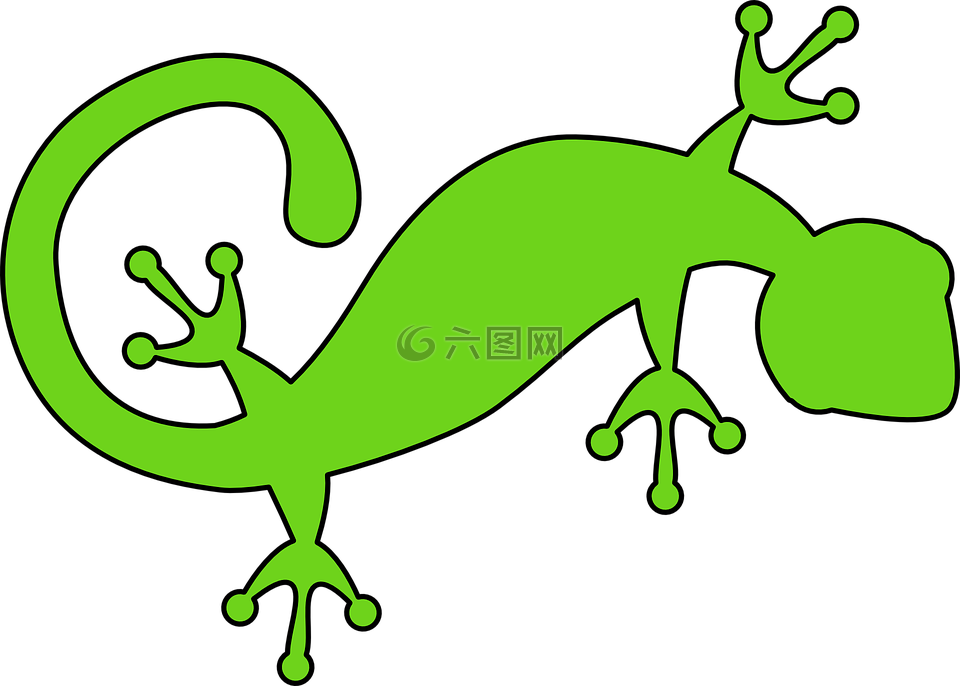 蜥蜴,壁虎,绿色