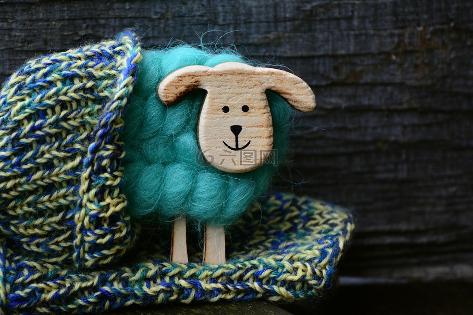 羊,羊毛,针织