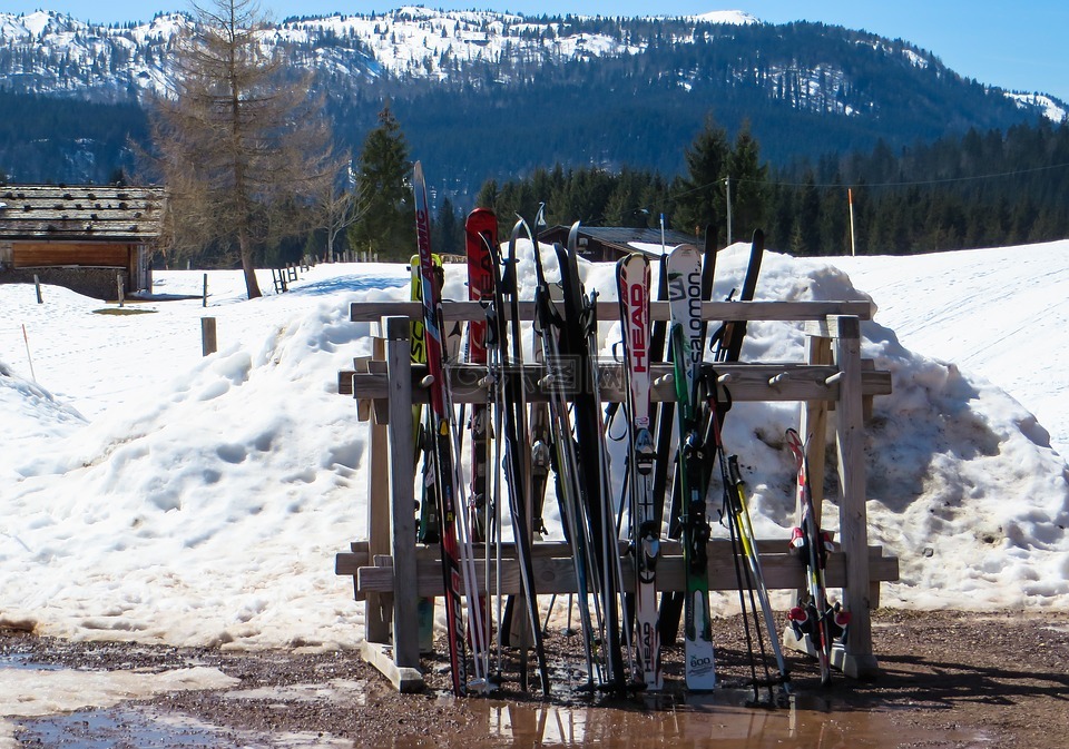 滑雪,冬天,滑雪杖