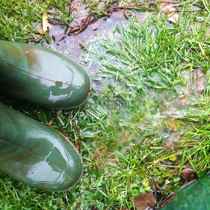 橡胶靴,雨,秋季