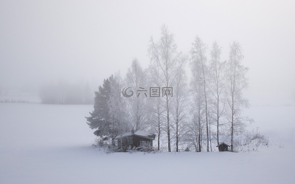 芬兰,雪,原野