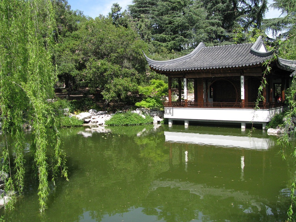 中国,花园,池
