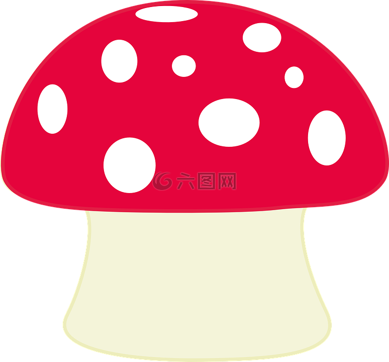 蘑菇,毒菌,点线