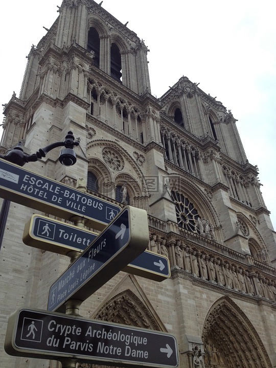 圣母,教堂,巴黎