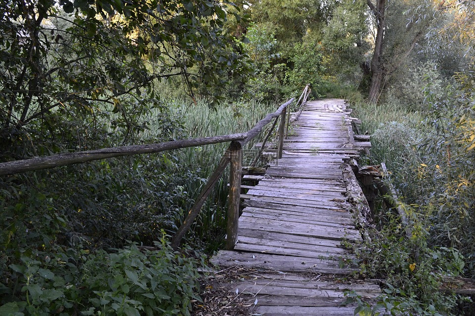 桥,旧,朽