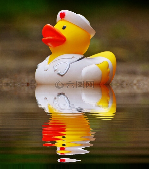 橡皮鸭,浴鸭,镜像