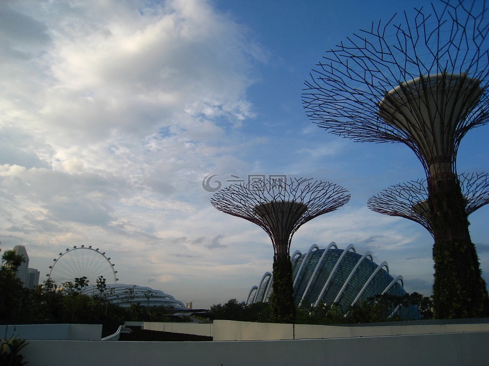 新加坡,户外,旅游