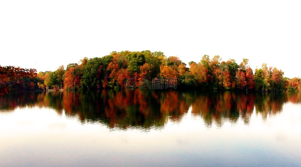 北卡罗莱纳州的几点思考,秋天的树叶,几点思考