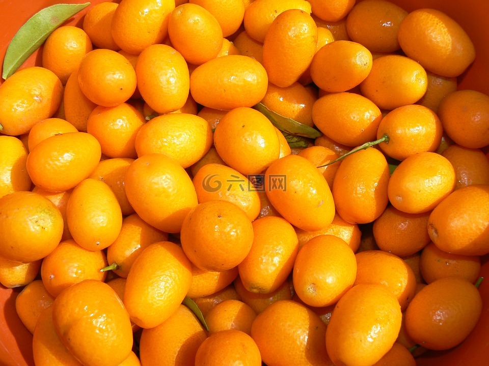 kinotos,水果,柑橘