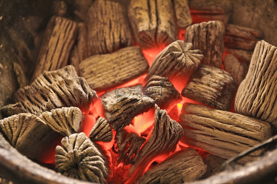 木炭,烤,火