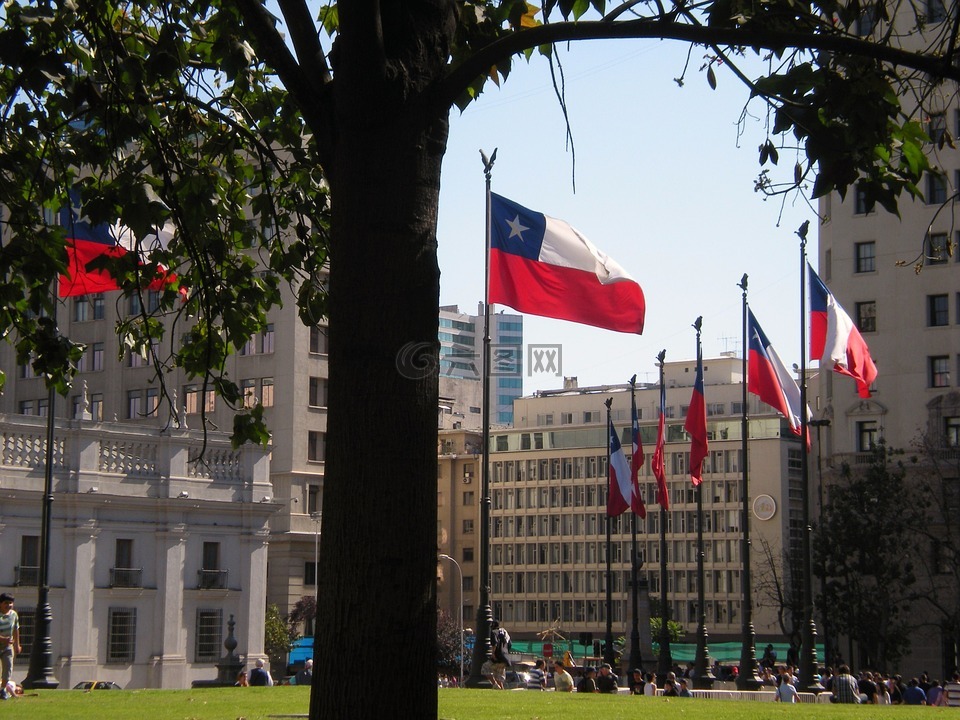 智利,国家,标志