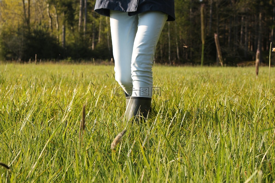 草地,春天,橡胶靴