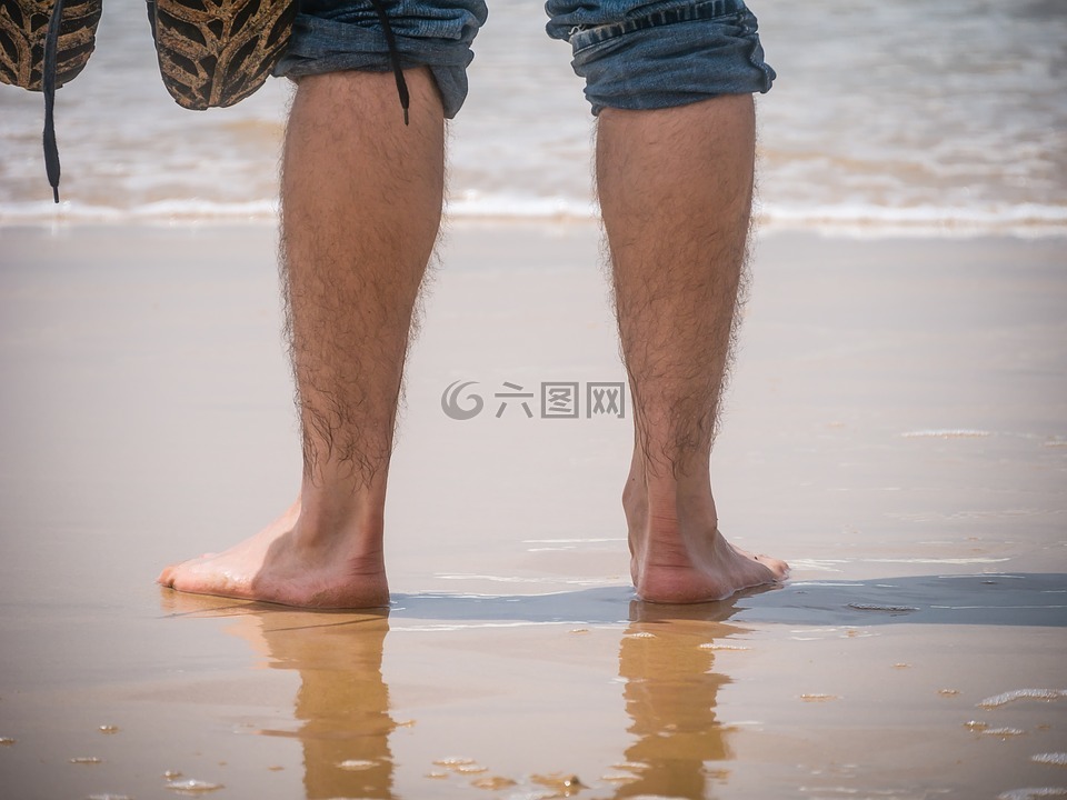 腿部,沙,海
